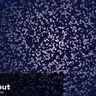 2026-02-08 thumbnail