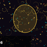 2026-02-17 thumbnail